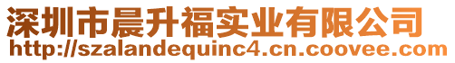 深圳市晨升福實業有限公司