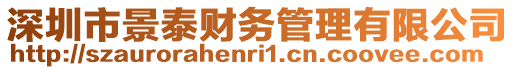 深圳市景泰財務管理有限公司