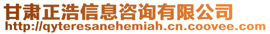 甘肅正浩信息咨詢有限公司