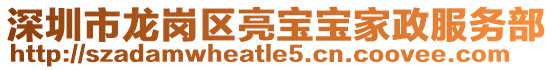 深圳市龍崗區亮寶寶家政服務部
