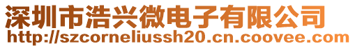 深圳市浩興微電子有限公司