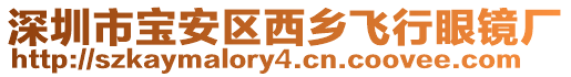深圳市寶安區西鄉飛行眼鏡廠