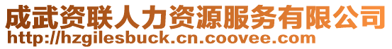 成武資聯(lián)人力資源服務(wù)有限公司