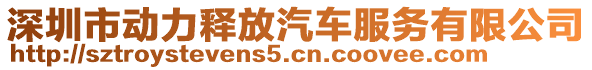 深圳市動力釋放汽車服務(wù)有限公司