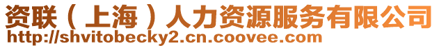 資聯(lián)(上海)人力資源服務(wù)有限公司