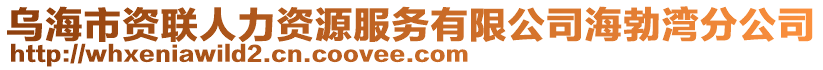烏海市資聯(lián)人力資源服務(wù)有限公司海勃灣分公司