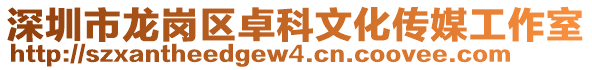 深圳市龍崗區卓科文化傳媒工作室