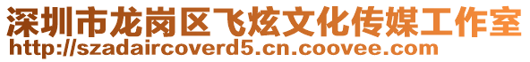 深圳市龍崗區飛炫文化傳媒工作室