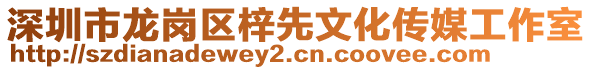 深圳市龍崗區梓先文化傳媒工作室