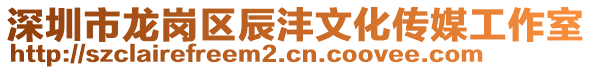 深圳市龍崗區(qū)辰灃文化傳媒工作室