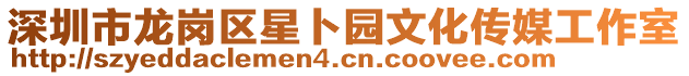 深圳市龍崗區(qū)星卜園文化傳媒工作室