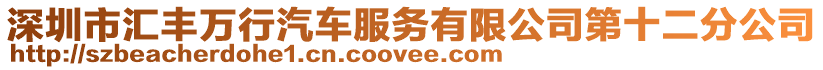 深圳市匯豐萬行汽車服務有限公司第十二分公司