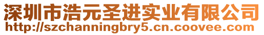 深圳市浩元圣進實業有限公司