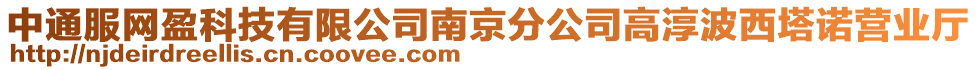 中通服網盈科技有限公司南京分公司高淳波西塔諾營業廳