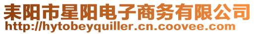 耒陽市星陽電子商務(wù)有限公司