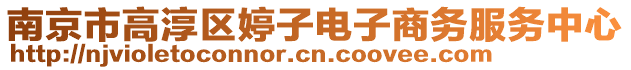 南京市高淳區婷子電子商務服務中心