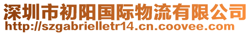 深圳市初陽國際物流有限公司