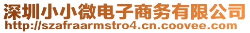 深圳小小微電子商務(wù)有限公司