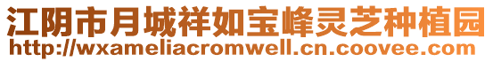 江陰市月城祥如寶峰靈芝種植園
