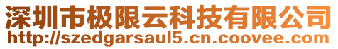 深圳市極限云科技有限公司