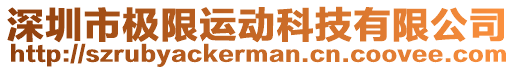 深圳市極限運(yùn)動(dòng)科技有限公司