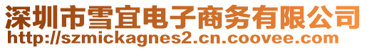 深圳市雪宜電子商務(wù)有限公司
