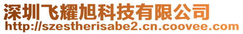 深圳飛耀旭科技有限公司