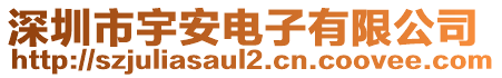 深圳市宇安電子有限公司