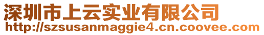 深圳市上云實業有限公司