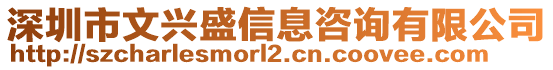 深圳市文興盛信息咨詢有限公司