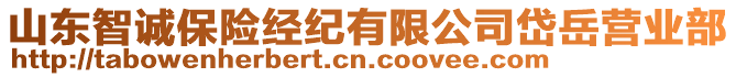 山東智誠保險經(jīng)紀(jì)有限公司岱岳營業(yè)部