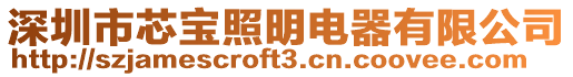 深圳市芯寶照明電器有限公司