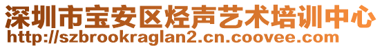 深圳市寶安區烴聲藝術培訓中心
