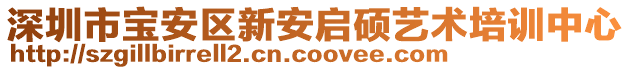 深圳市寶安區新安啟碩藝術培訓中心