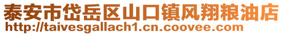 泰安市岱岳區山口鎮風翔糧油店