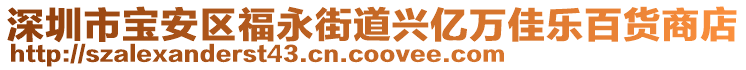 深圳市寶安區(qū)福永街道興億萬佳樂百貨商店