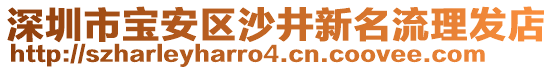 深圳市寶安區(qū)沙井新名流理發(fā)店