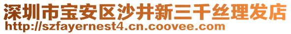 深圳市寶安區(qū)沙井新三千絲理發(fā)店