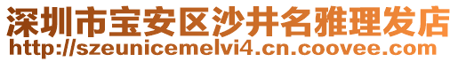 深圳市寶安區(qū)沙井名雅理發(fā)店