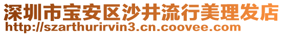 深圳市寶安區(qū)沙井流行美理發(fā)店