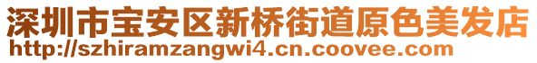 深圳市寶安區(qū)新橋街道原色美發(fā)店