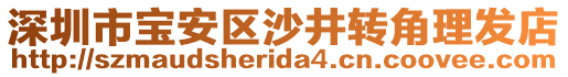 深圳市寶安區(qū)沙井轉角理發(fā)店