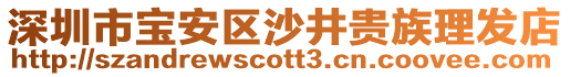 深圳市寶安區(qū)沙井貴族理發(fā)店