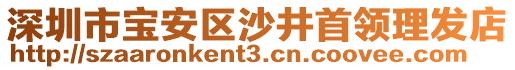 深圳市寶安區(qū)沙井首領(lǐng)理發(fā)店