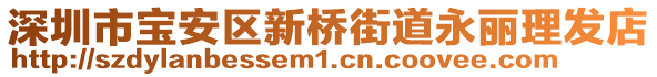 深圳市寶安區(qū)新橋街道永麗理發(fā)店