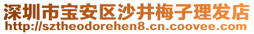 深圳市寶安區沙井梅子理發店