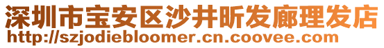 深圳市寶安區沙井昕發廊理發店