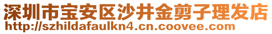 深圳市寶安區沙井金剪子理發店