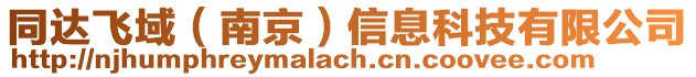 同達飛域（南京）信息科技有限公司
