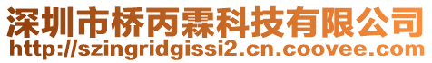 深圳市橋丙霖科技有限公司